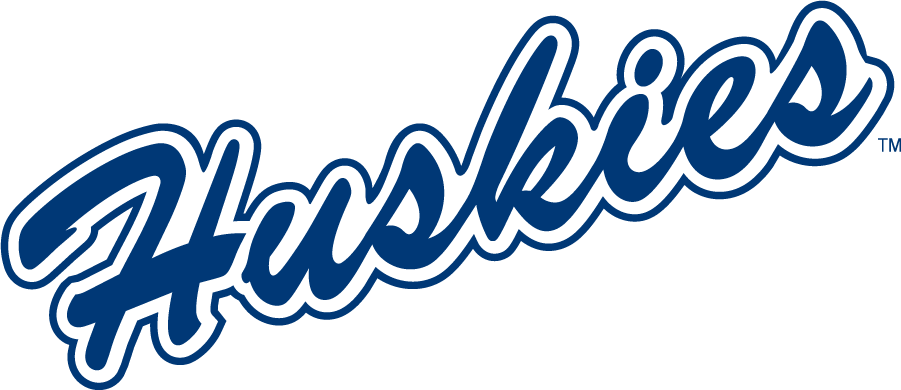 UConn Huskies 1981-2002 Wordmark Logo t shirts iron on transfers